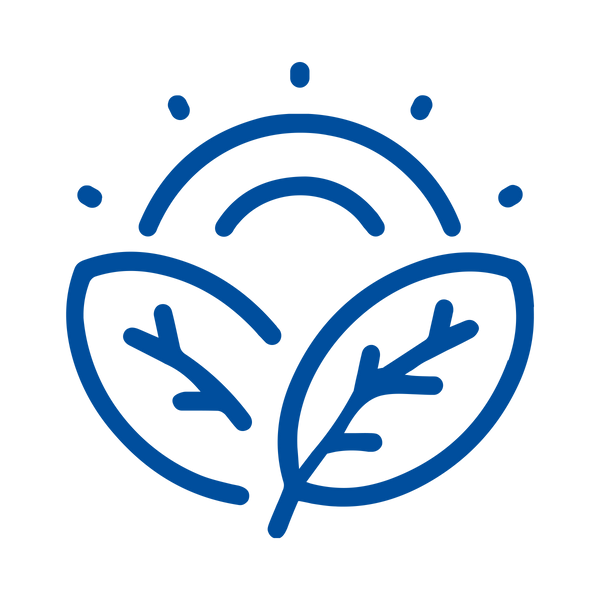 Rhodiola Rosea + Vitamin B12